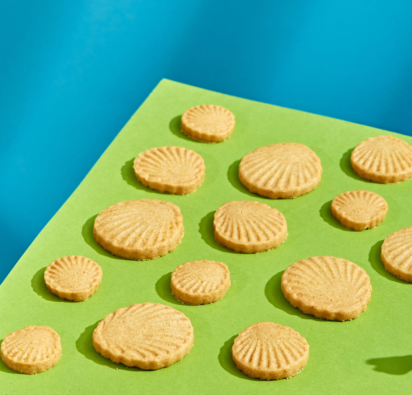Vanilla Biscuits