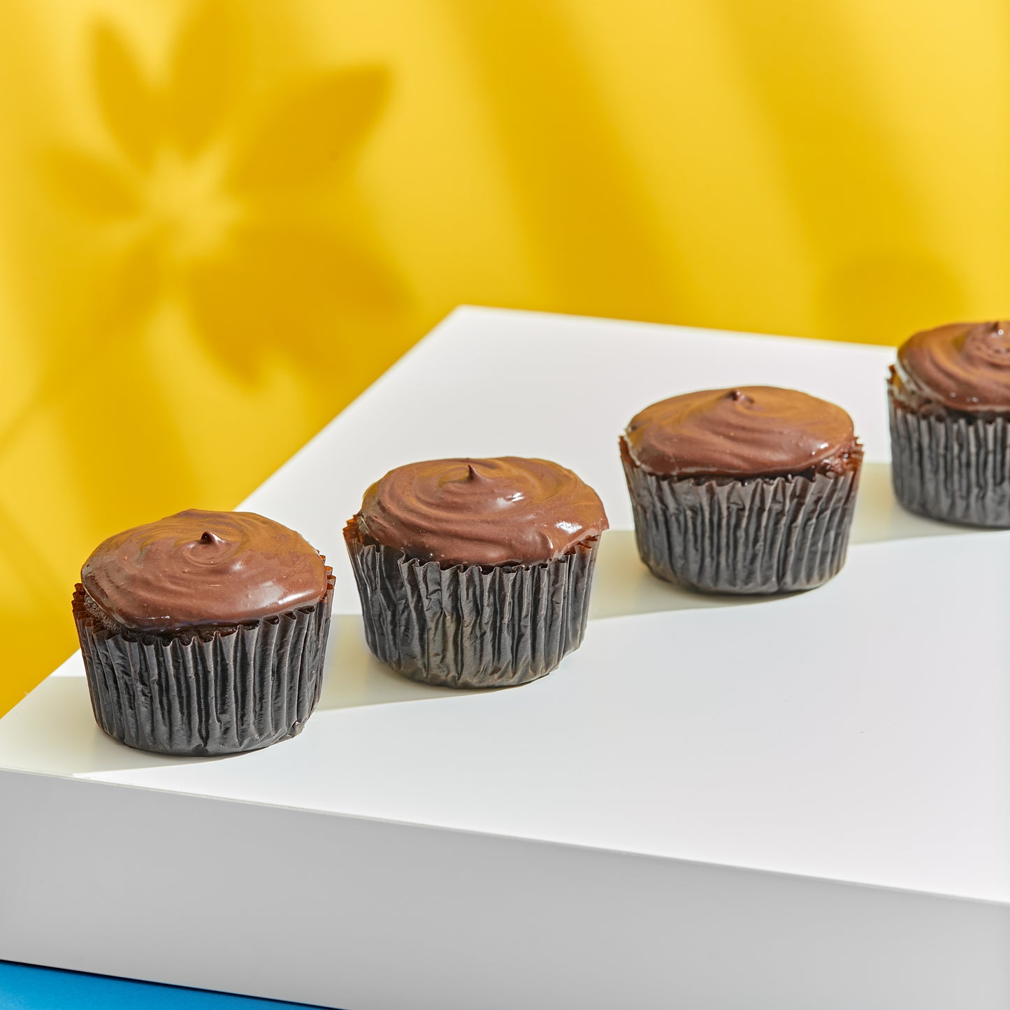 Double Chocolate Cupcakes with Icing